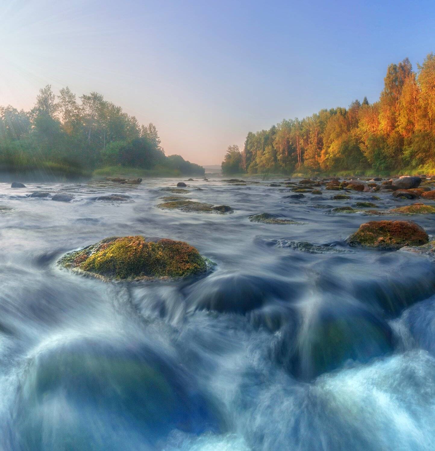 вепсский лес, Павел Ващенков