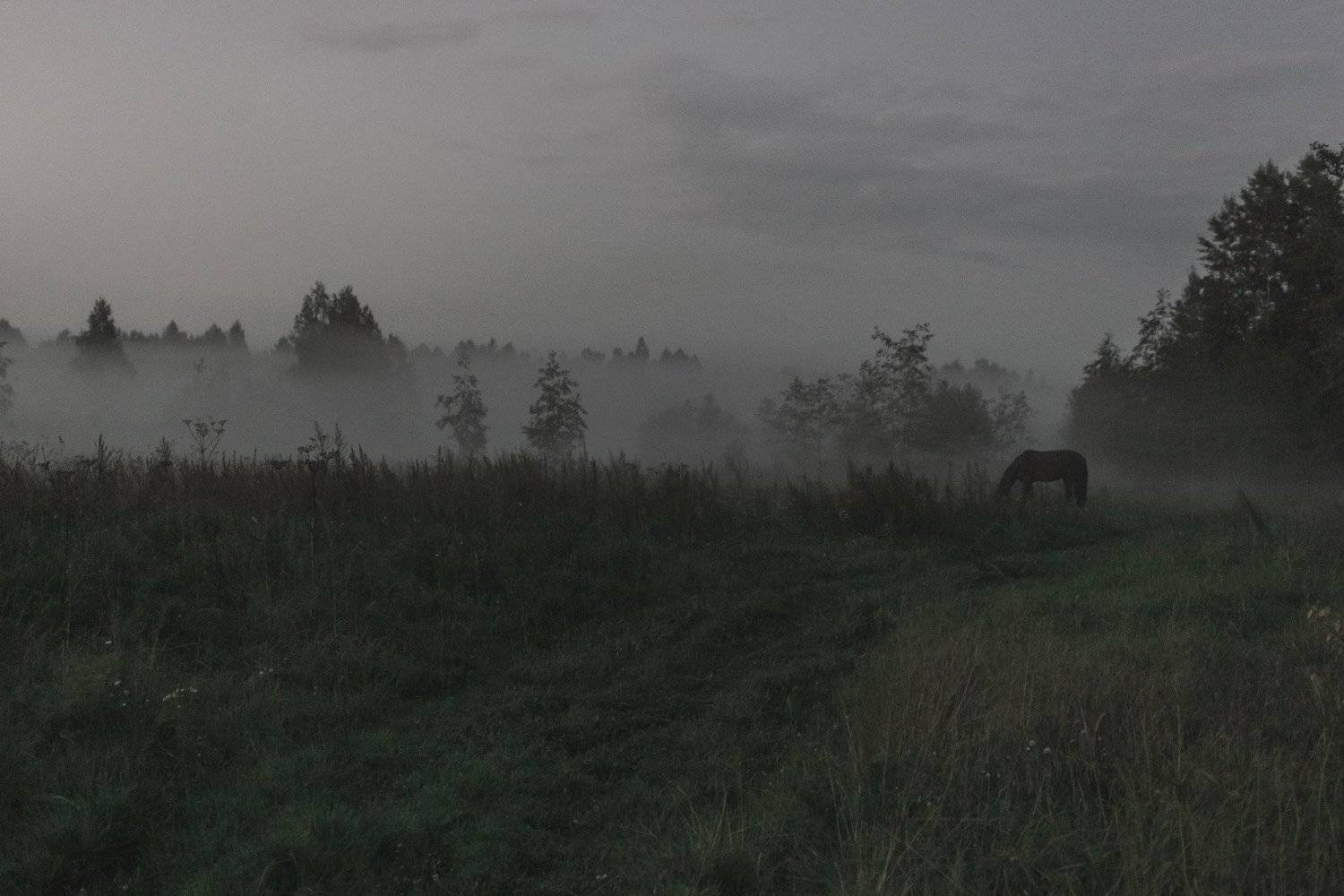 , Илья Киряков