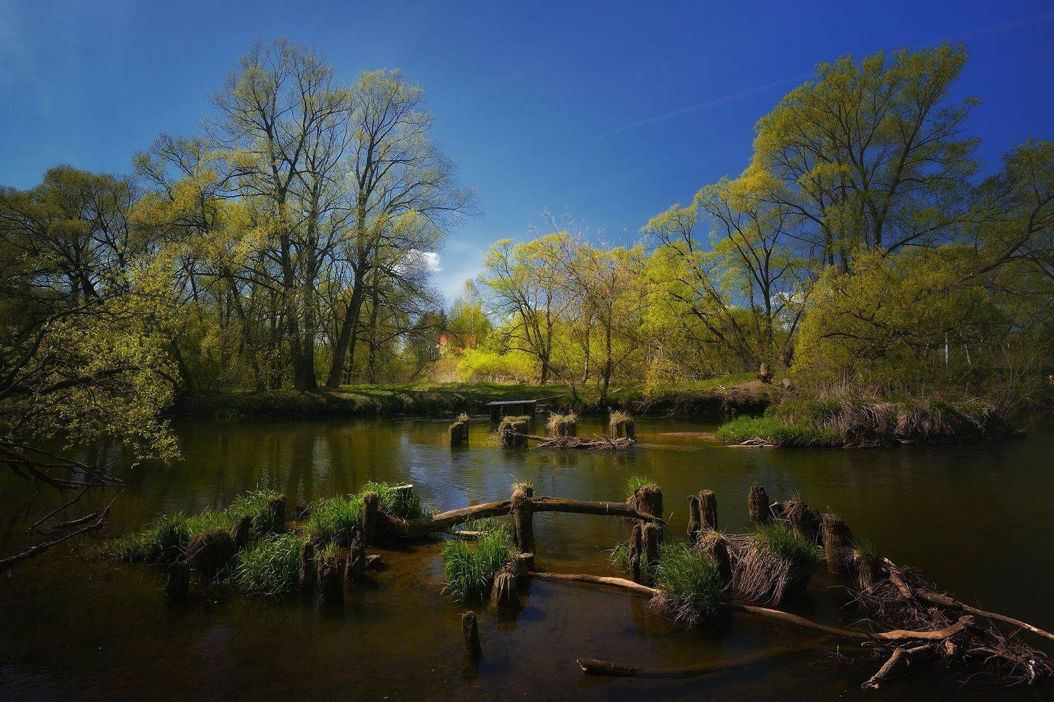 лес, природа, пейзаж, лето, река, вода, течение, выдержка, ручей, подмосковье, Алексей Никонов