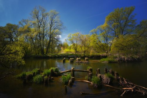 У старого моста