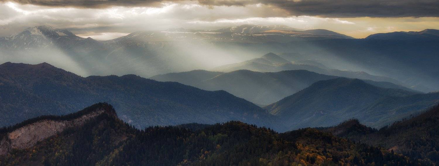 свет, Alexander Plekhanov