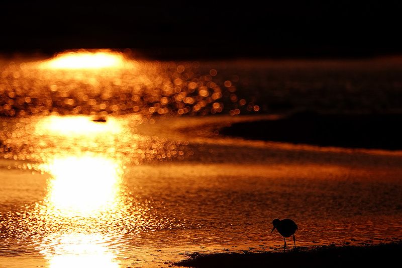 Апокалипсис фото превью