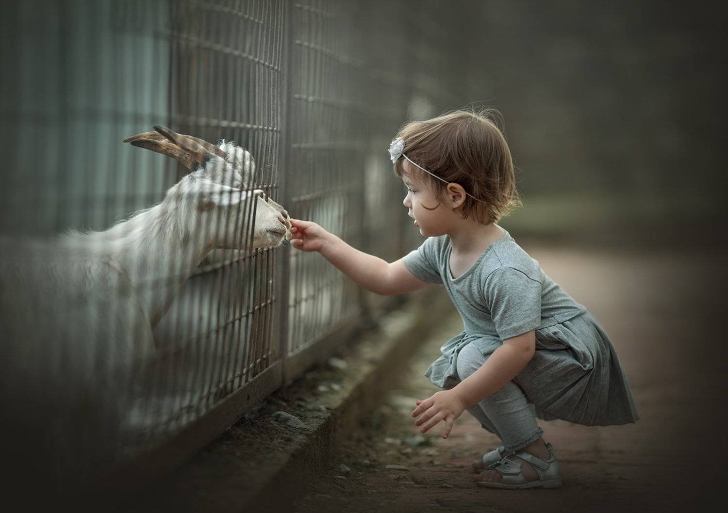 , Анастасия Крылова