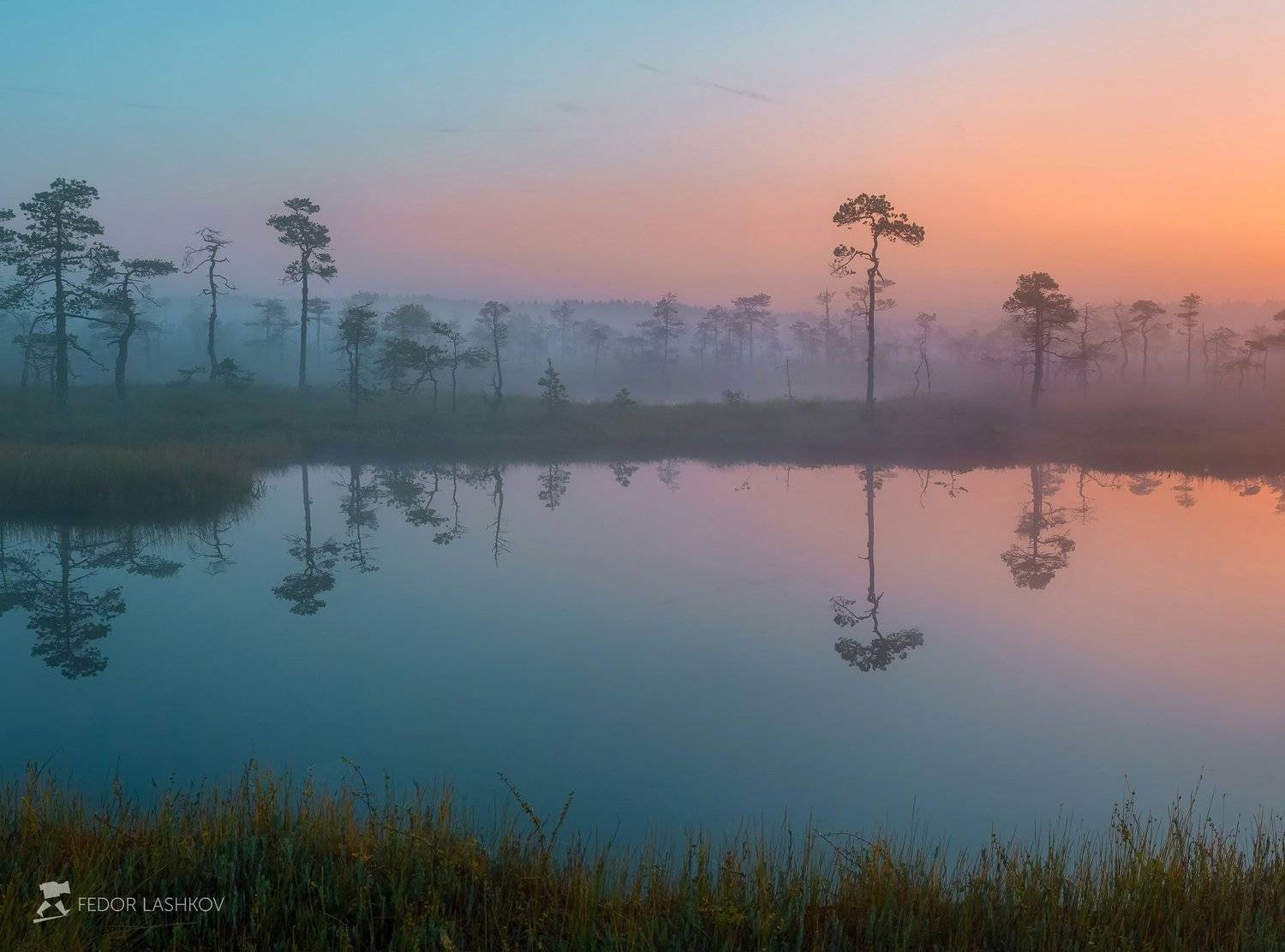 фототур, ленинградская область, деревья, сосна, болото, рассвет, туман, отражение, покой, озеро, заря, лето, небо,, Лашков Фёдор