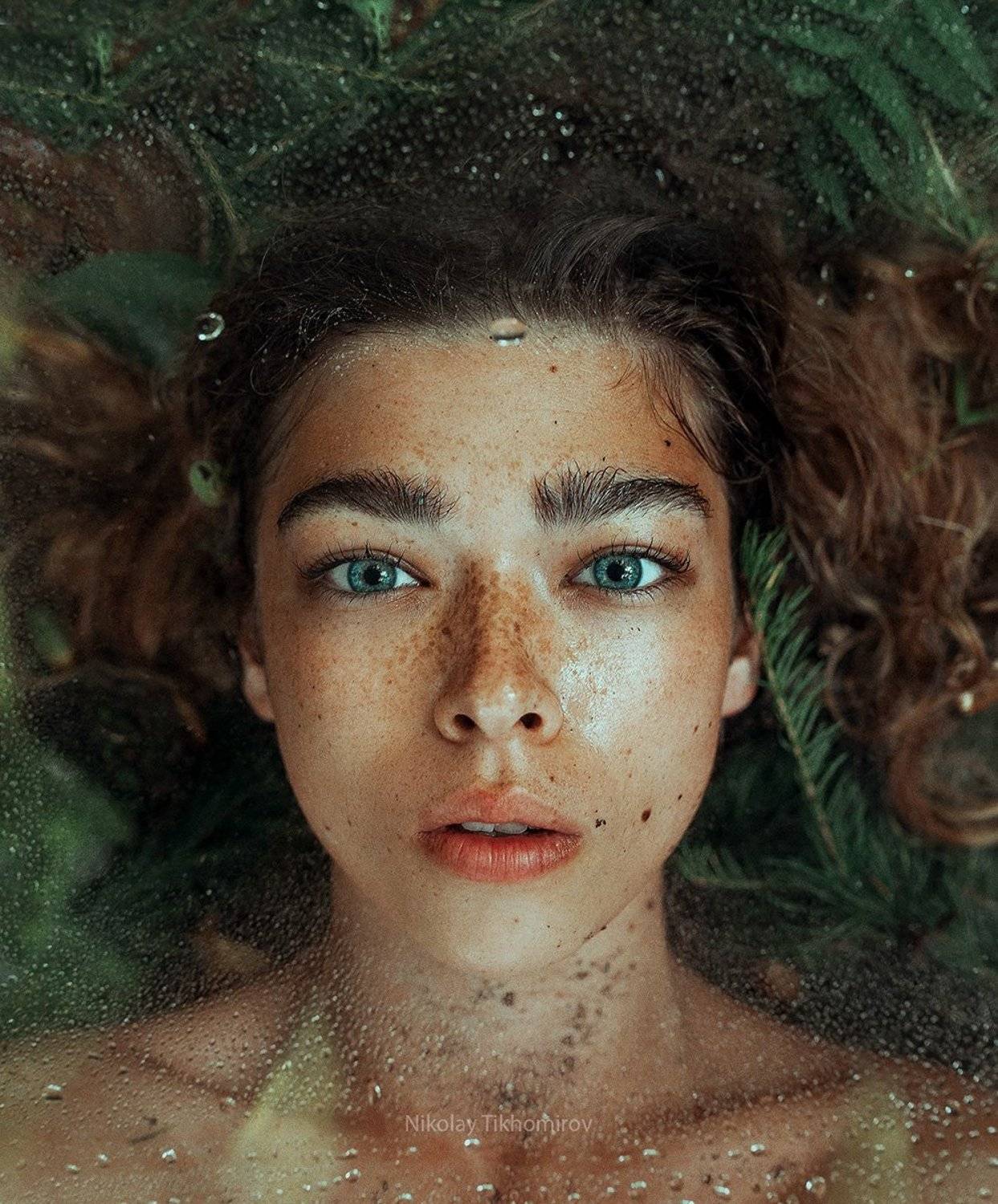 , Тихомиров Николай