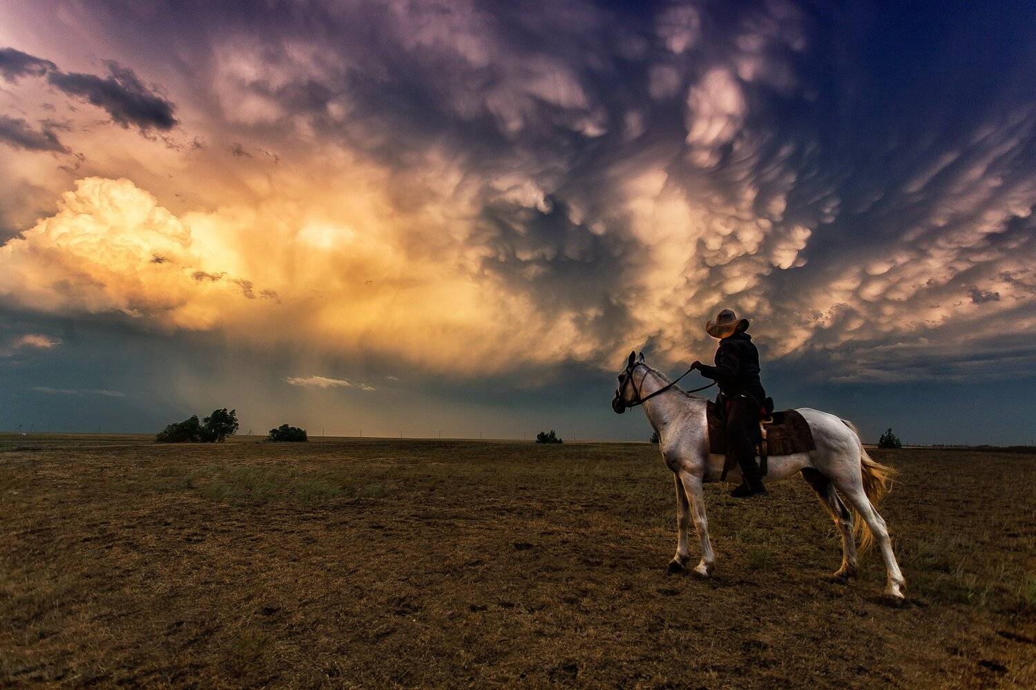 , Павел Сагайдак