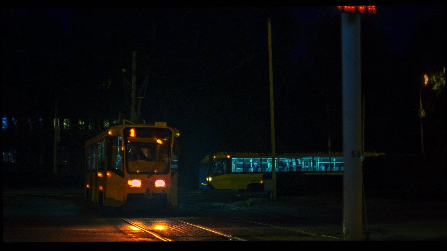 , Цвелёв Дмитрий