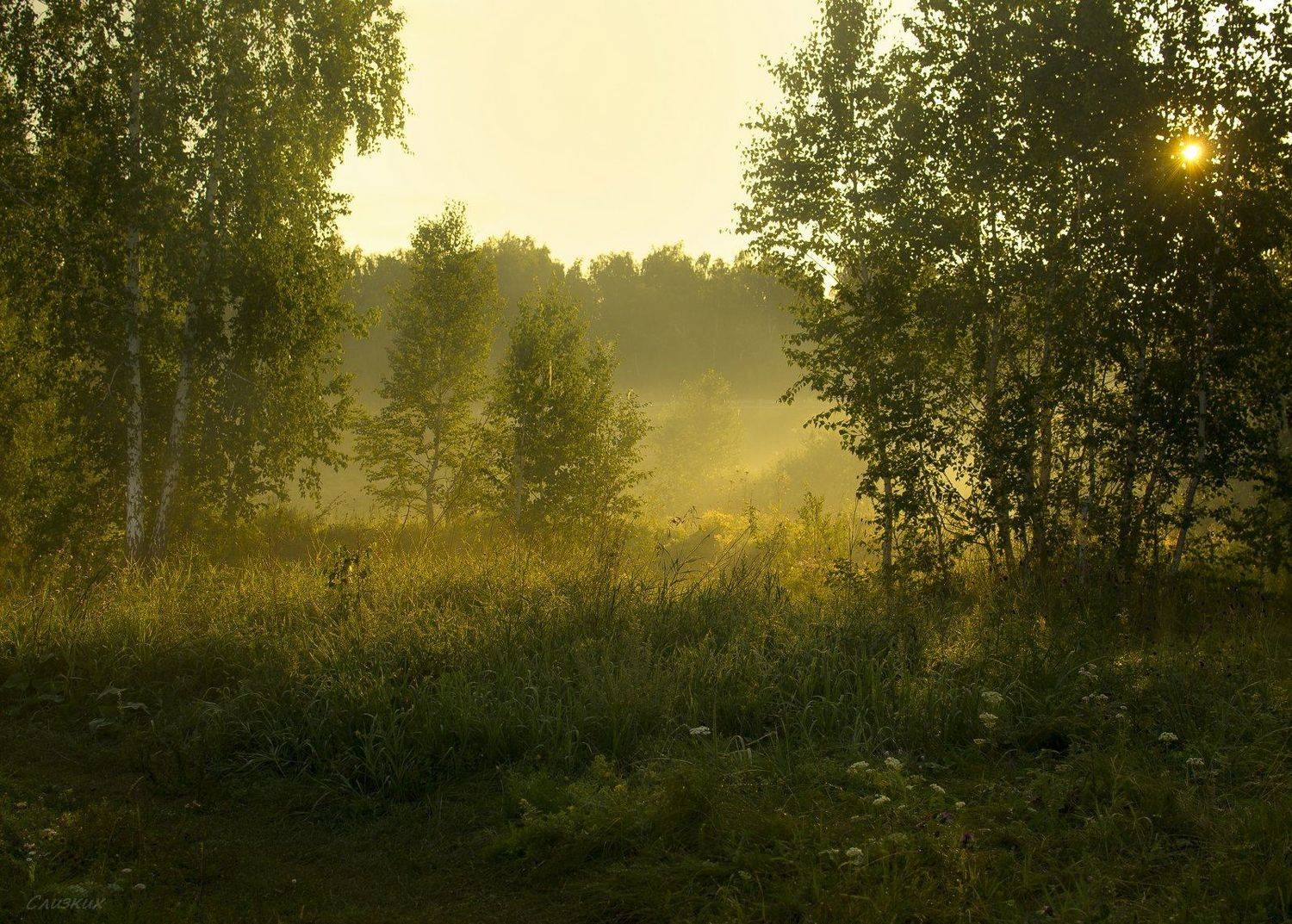 пейзаж,туман,утро,краски,август, Инаида