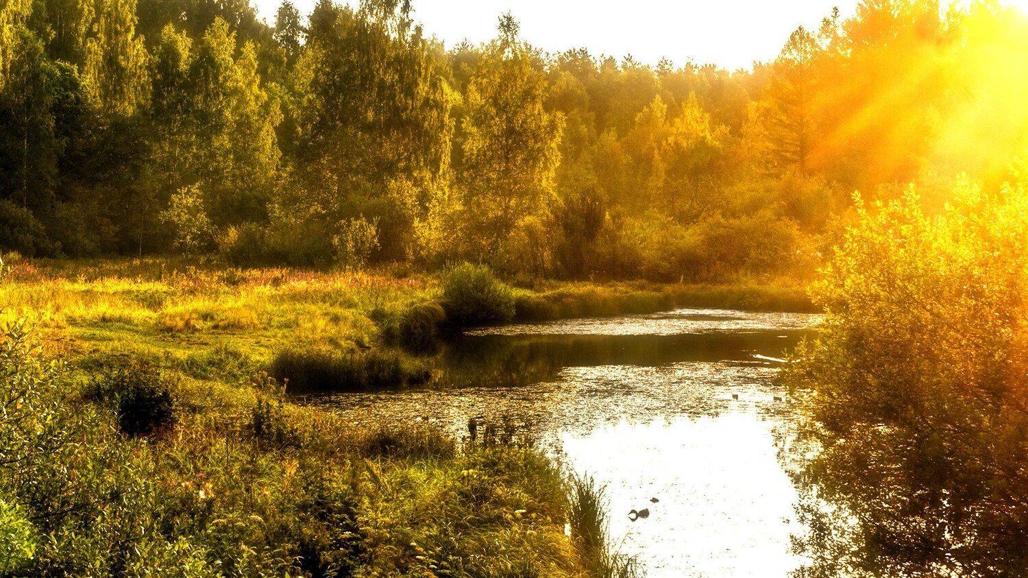 , Алексей Герасимов