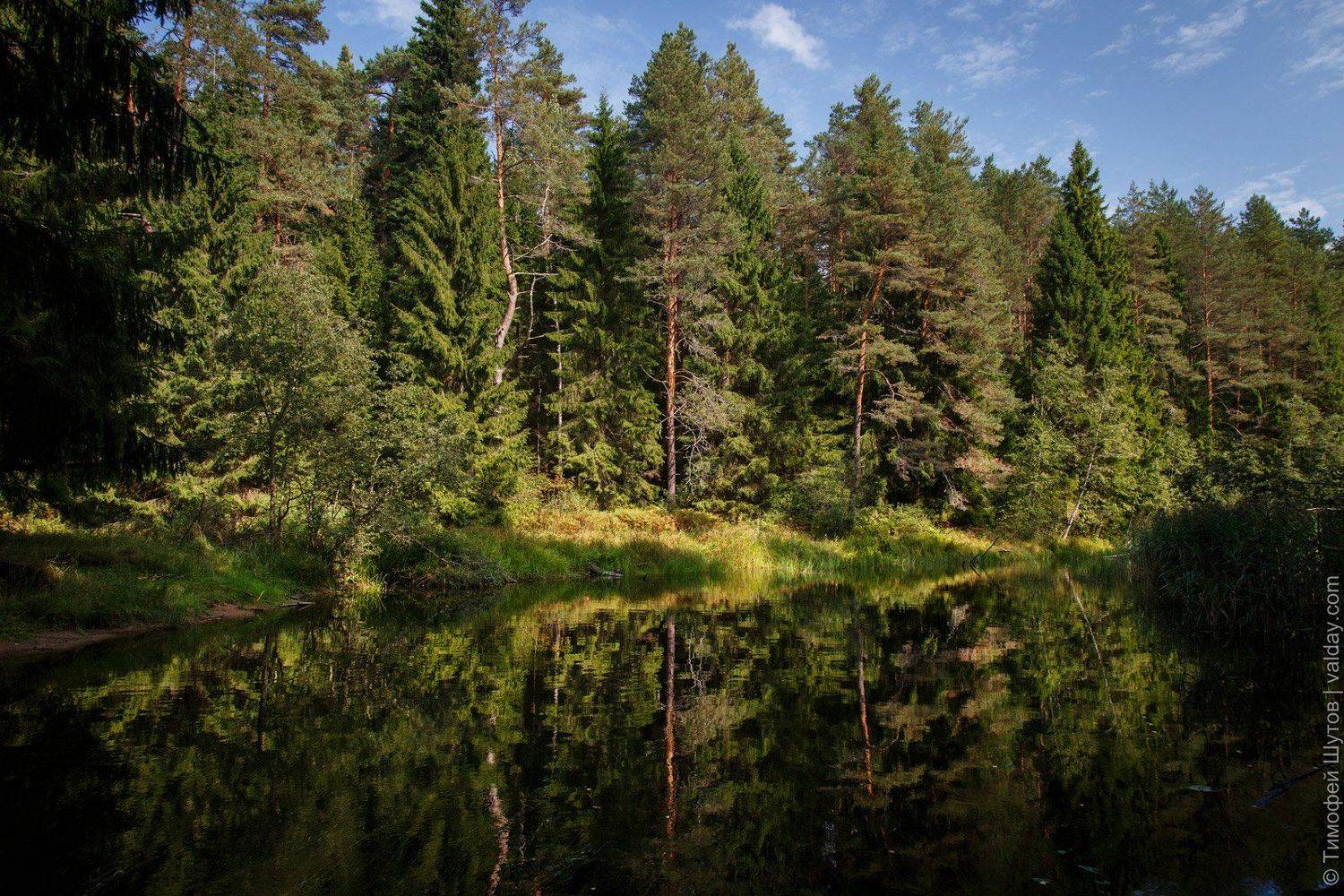 валдай, Тимофей Шутов