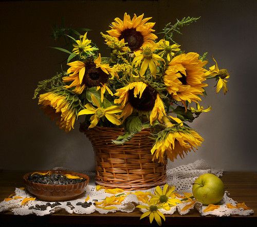 Величество Август светлейший...