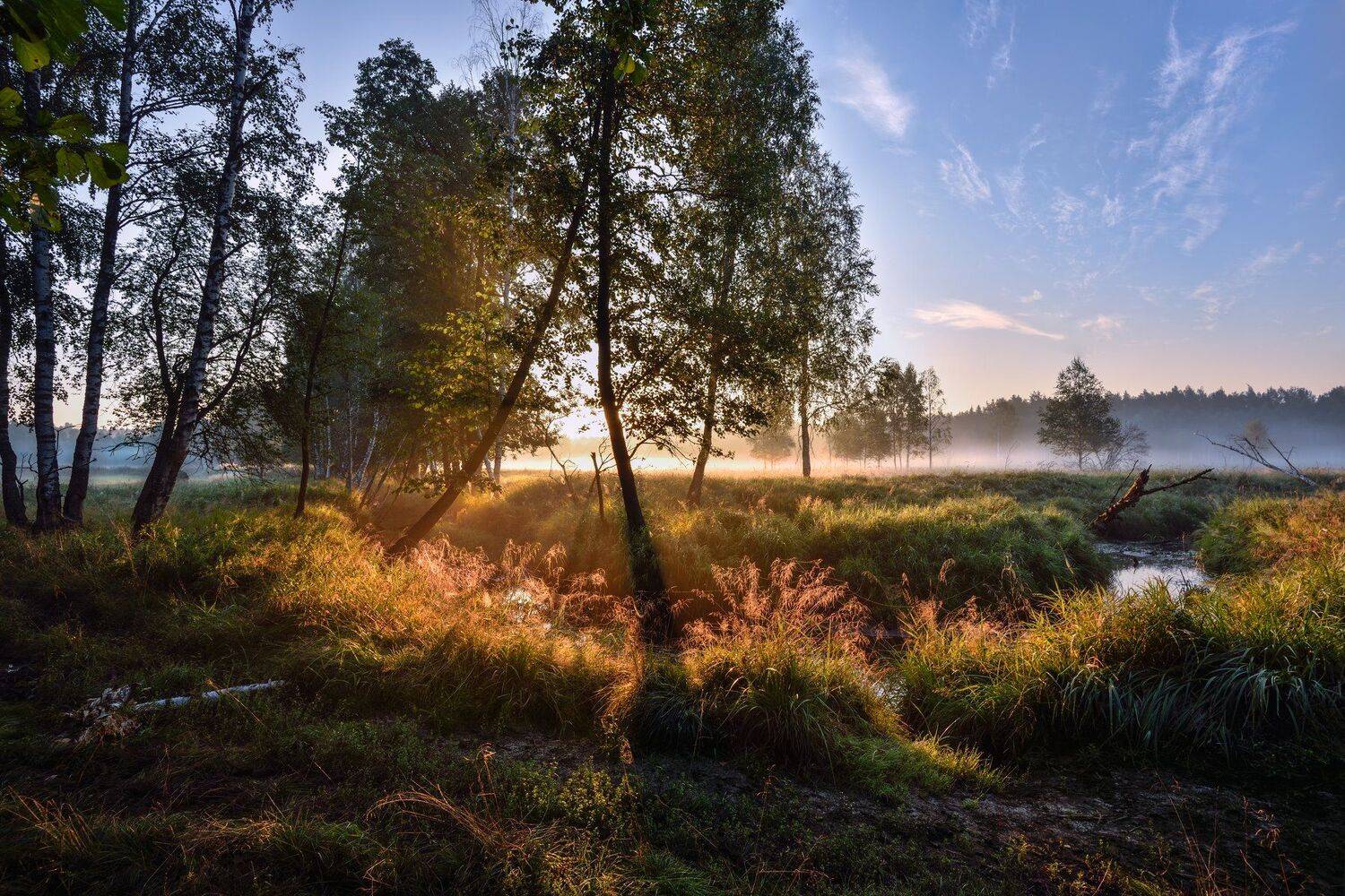 лето,утро,рассвет,туман,река, Виталий Полуэктов