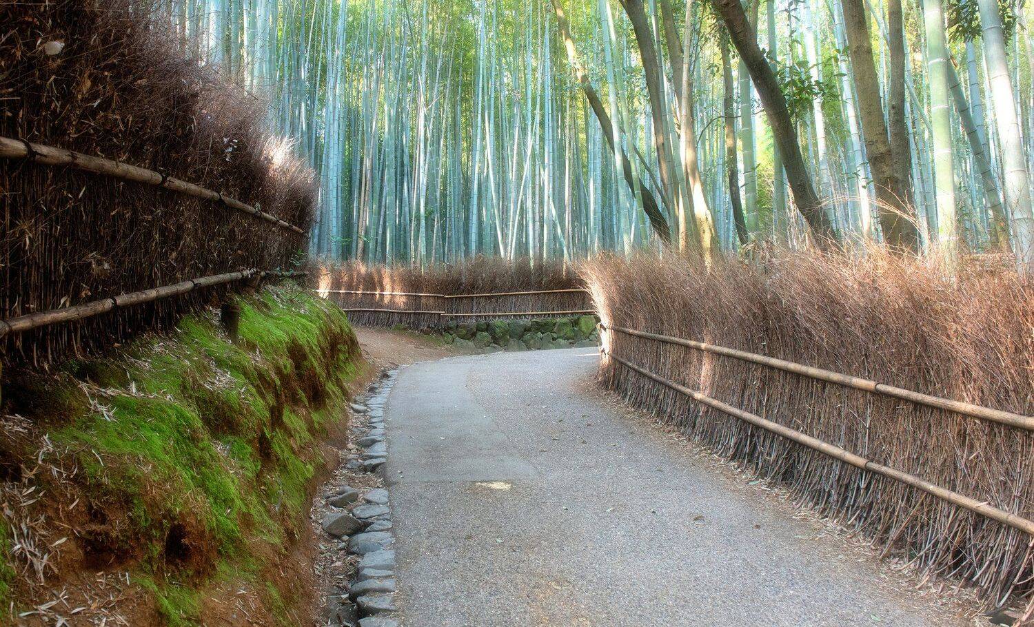 Japan, Edgars Gerskovics