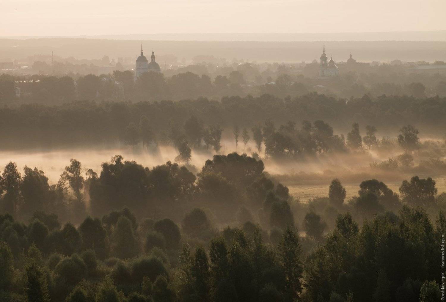 елабуга,нижняя кама,утро,лето,туман,дымка,храм,церковь,деревья,золотистый, Горшков Игорь