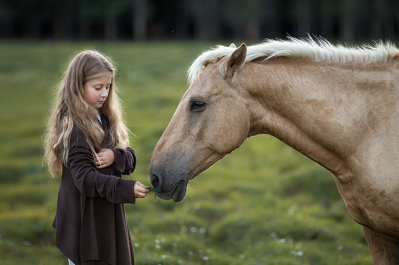 *** фото превью
