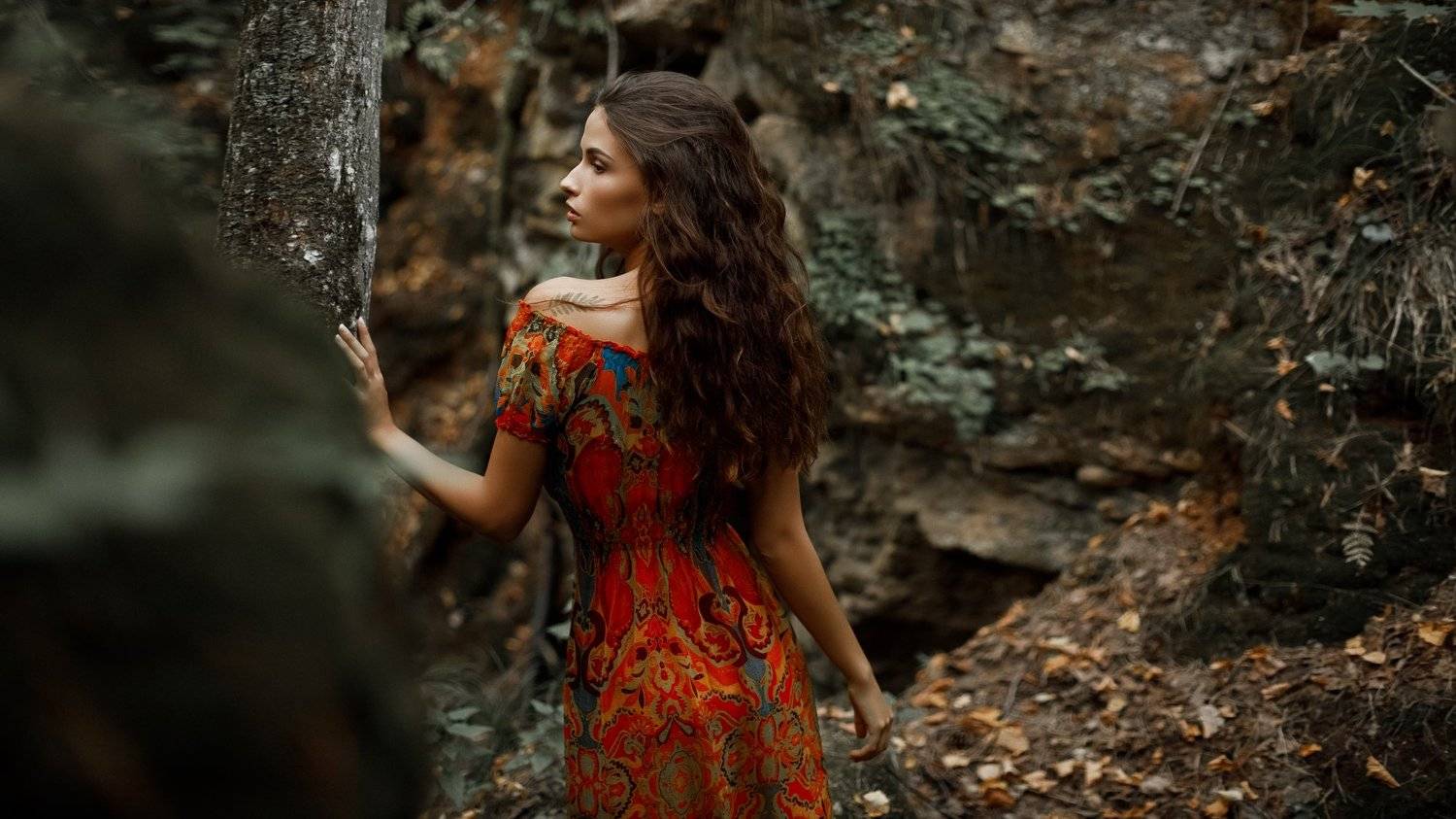 , Александр Сасин