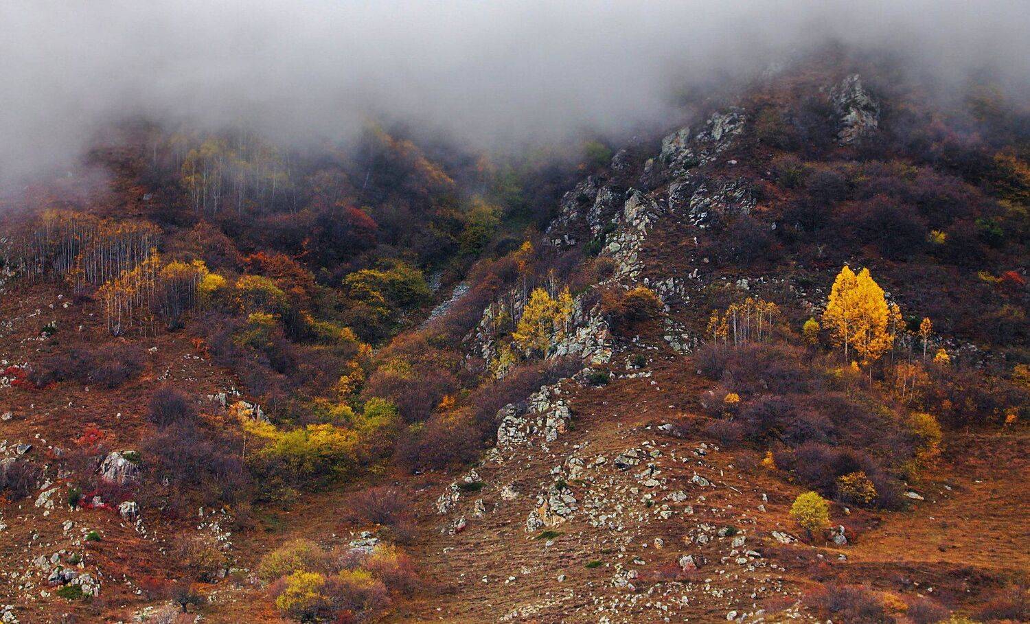 горы,осень,природа., Marat Magov