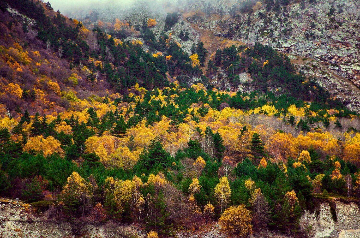 горы,осень,природа., Marat Magov