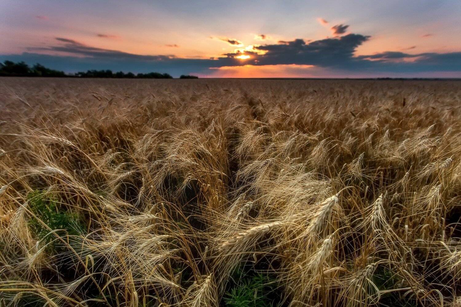 , Павел Сагайдак