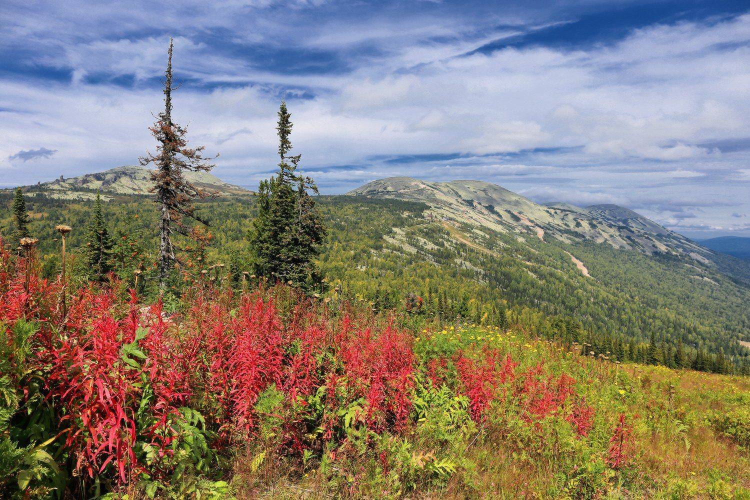 горная шория, сибирь, шерегеш, Галина Хвостенко