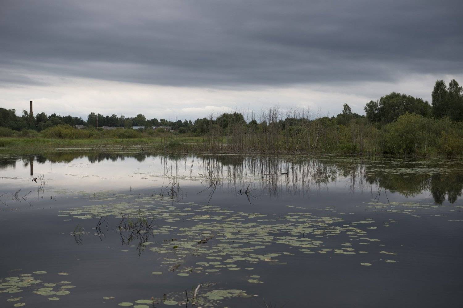 псковская область, Ирина