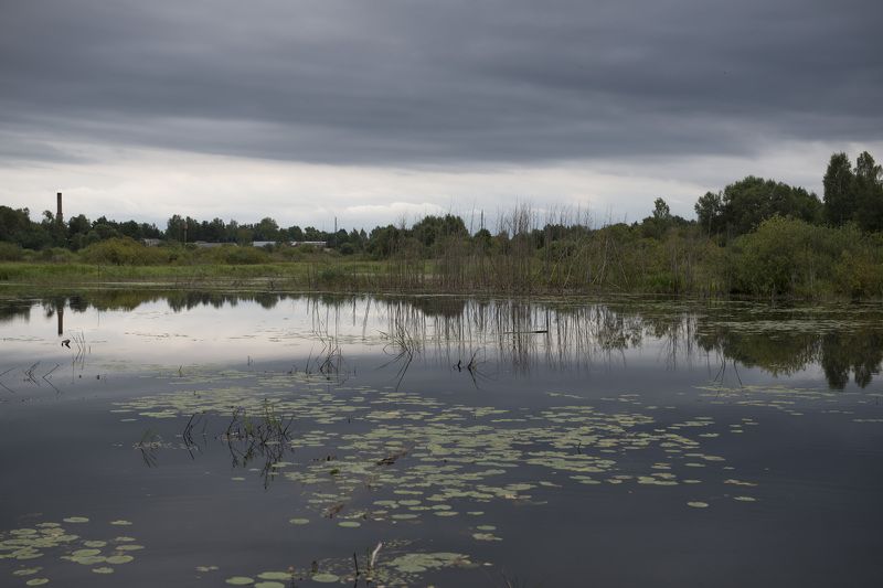 псковская область *** фото превью