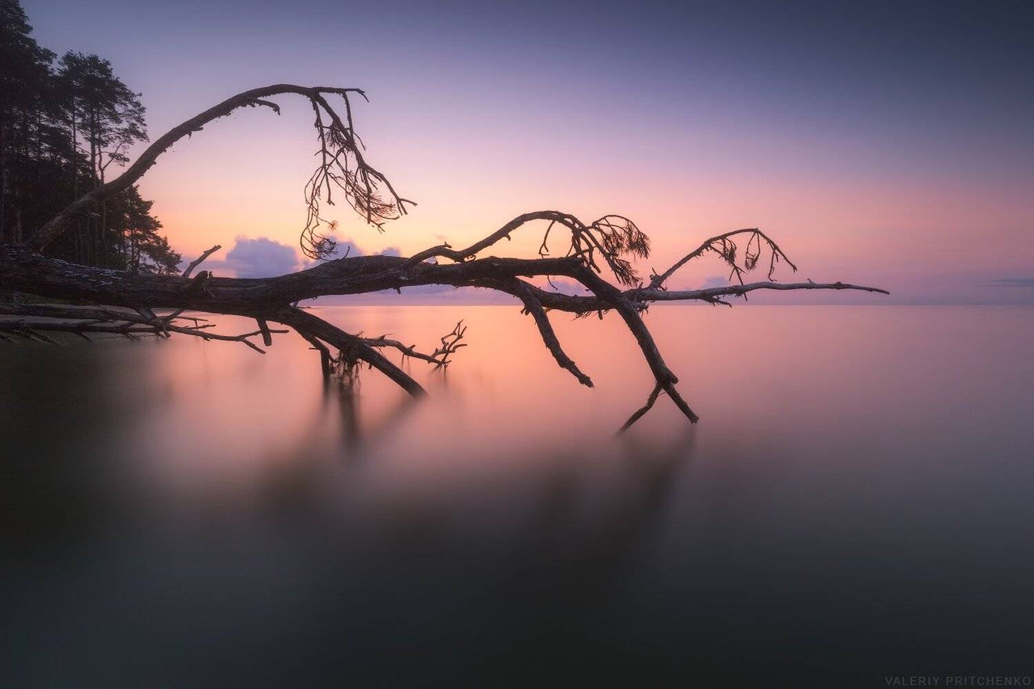 , Валерий Притченко