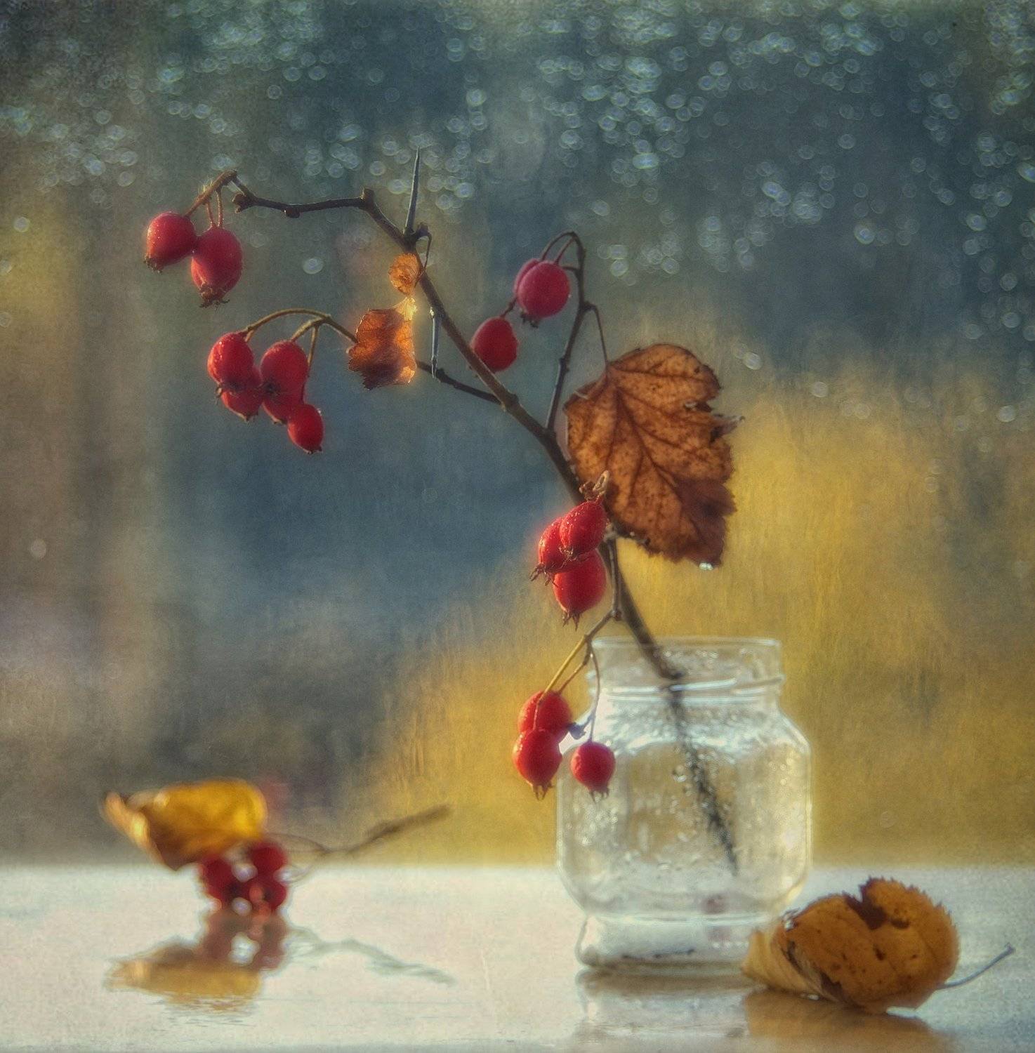 натюрморт,боярышник, Наталия К