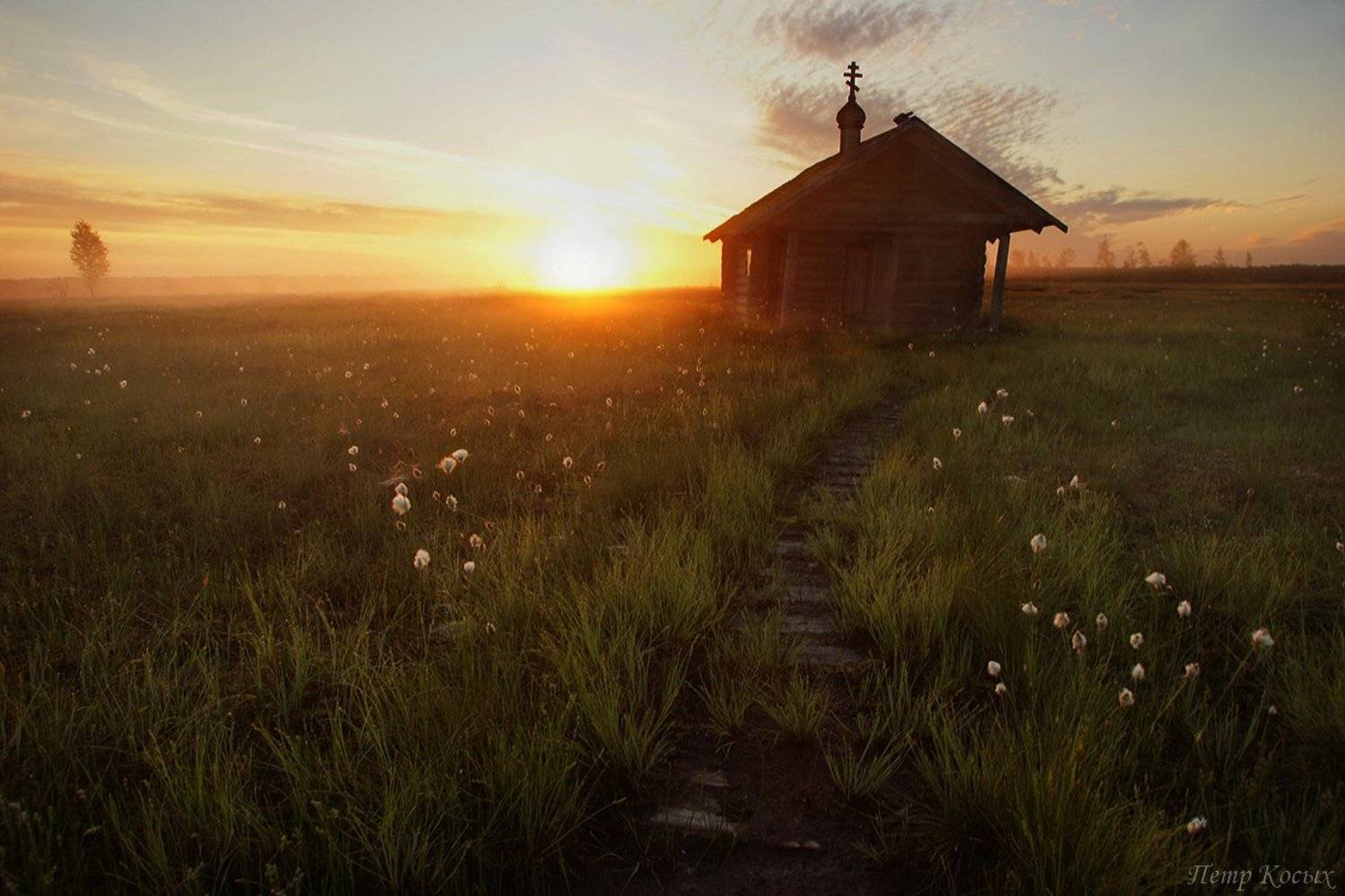 , Петр Косых