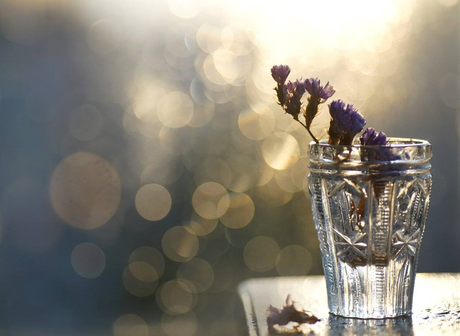 , Кузнецов Дмитрий