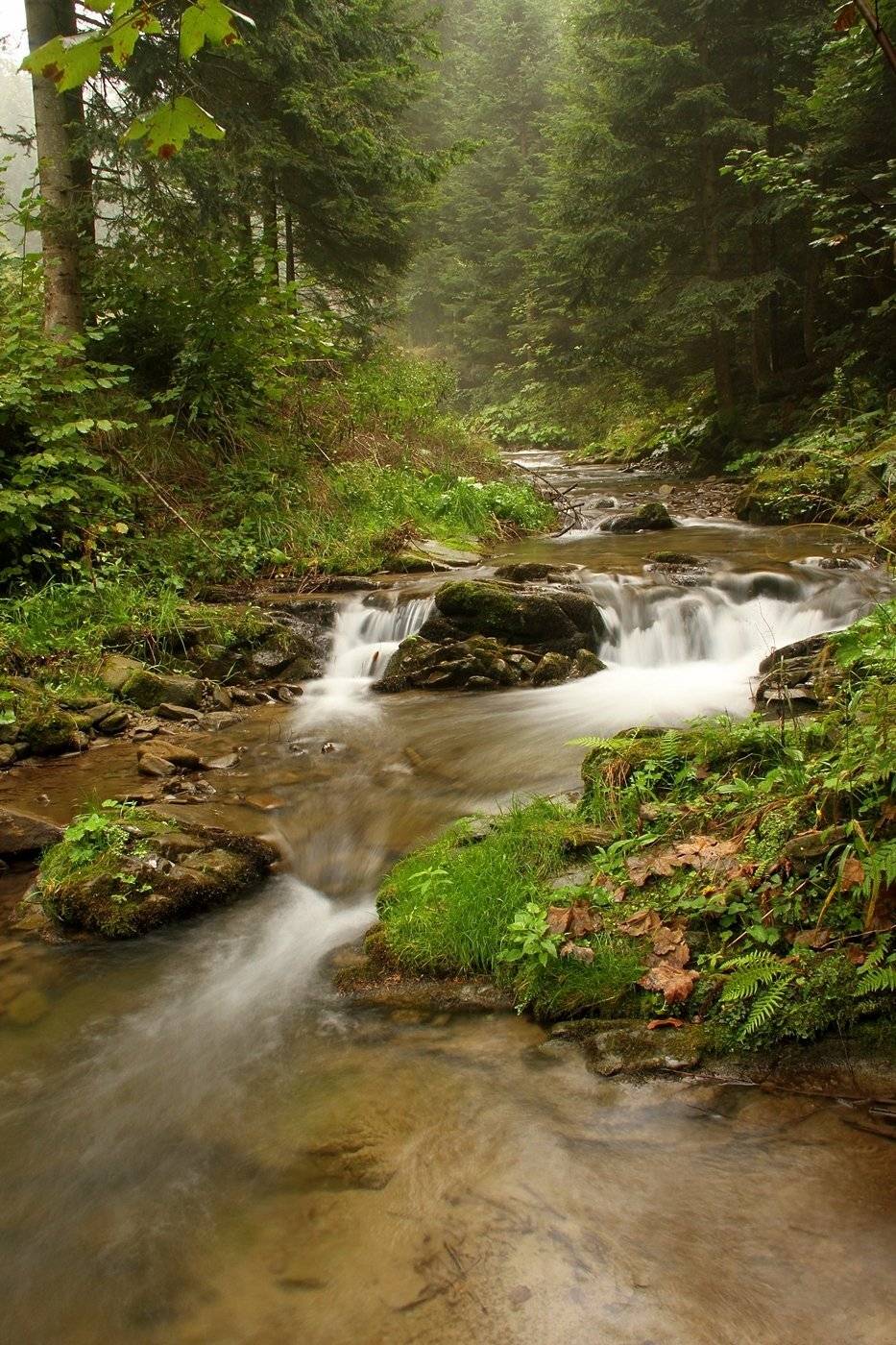 , Krzysztof Tomasiak