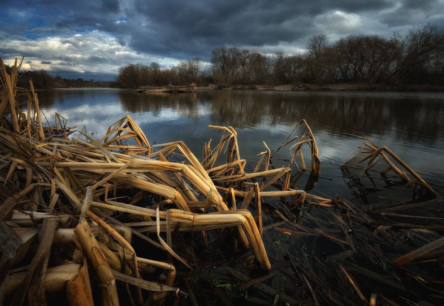 вода, москва-река, подмосковье, весна, пасмурно, Алексей Никонов
