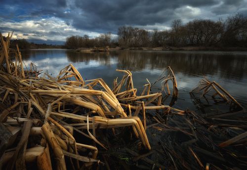 На Москве реке