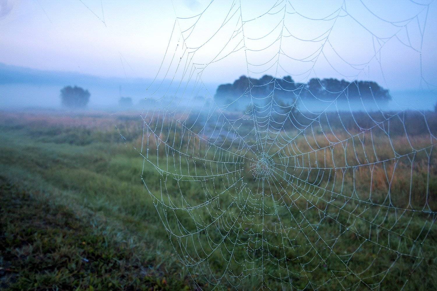 , Павел Дунюшкин