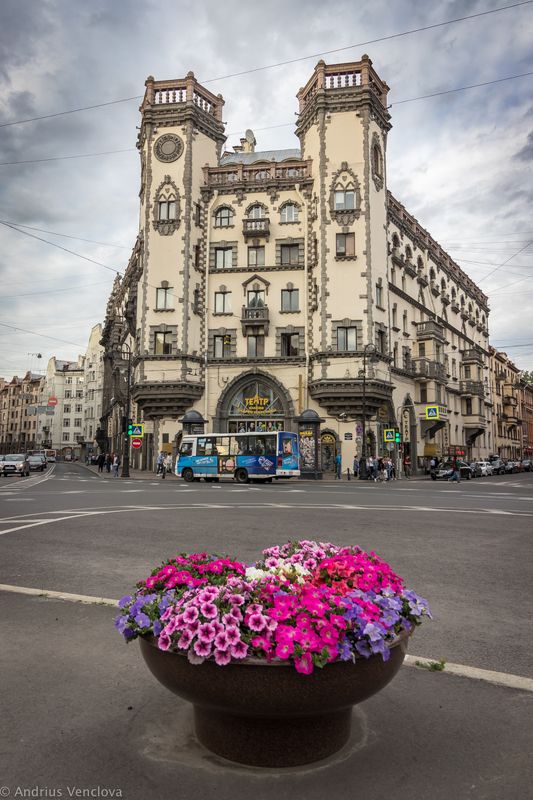 House with towers фото превью