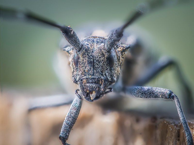 ... фото превью