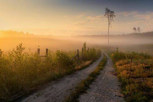 In morning fog