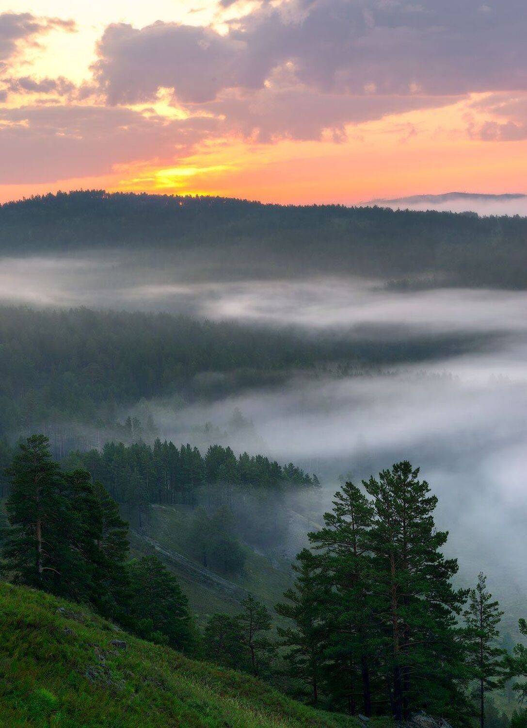 , Сергей Брагин