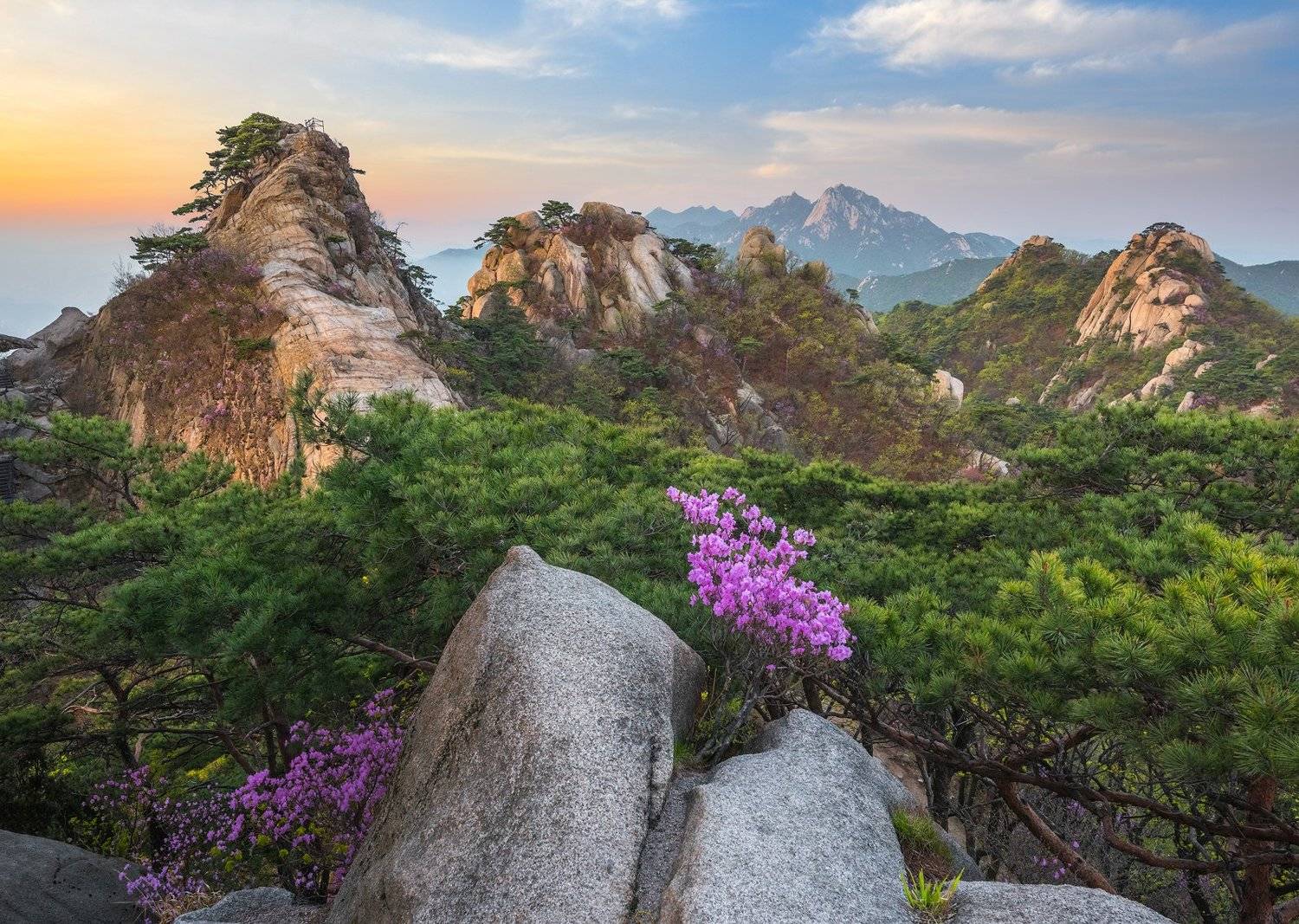 , Jaeyoun Ryu