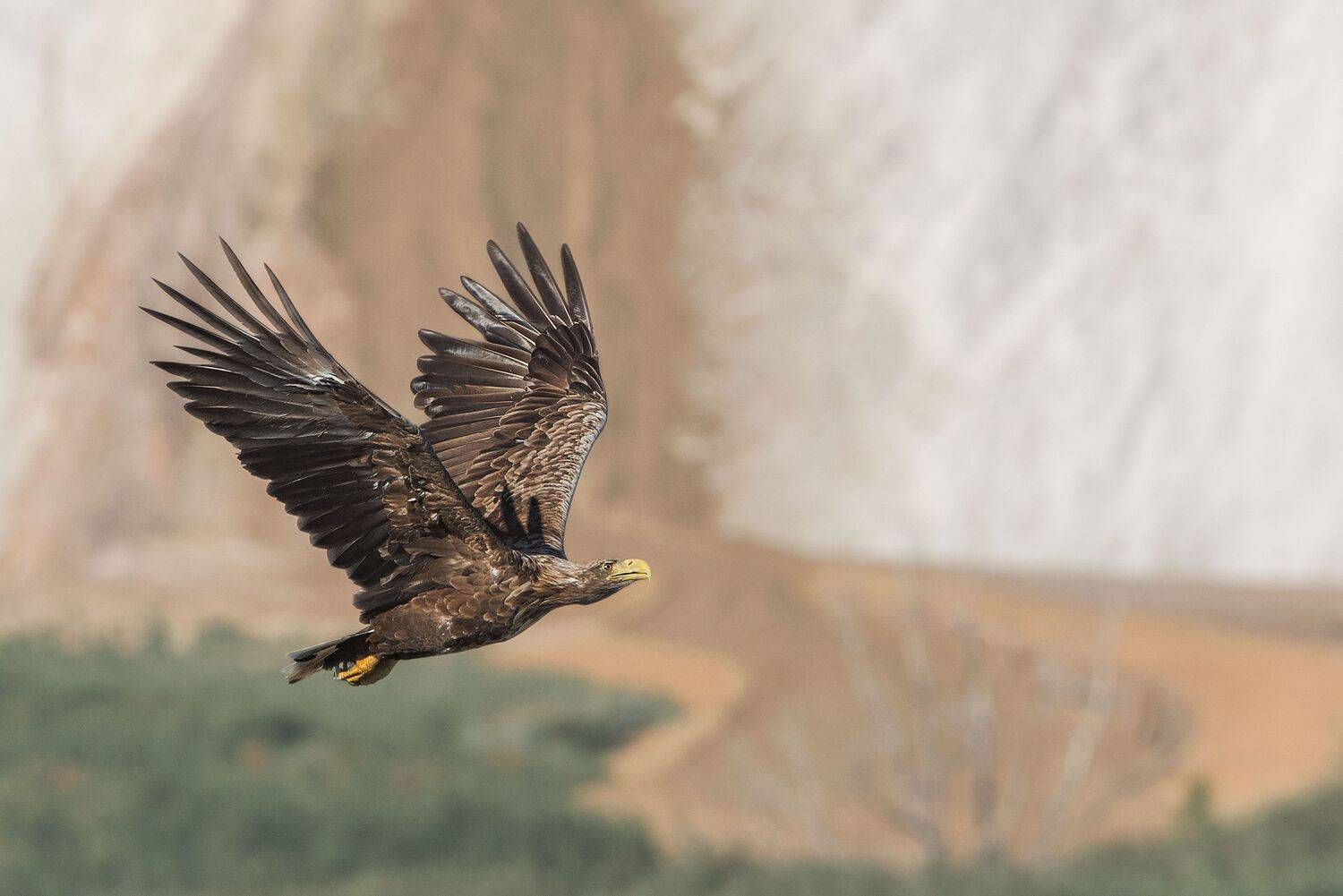 , Arkadiusz Michalak