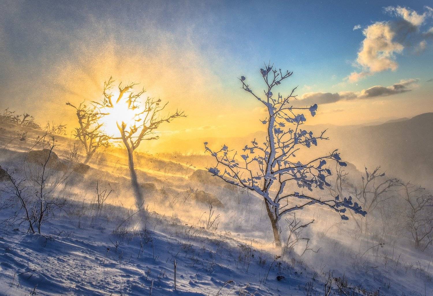 Приморье, Приморский край, зима,  метель, пурга, Виталий Берков