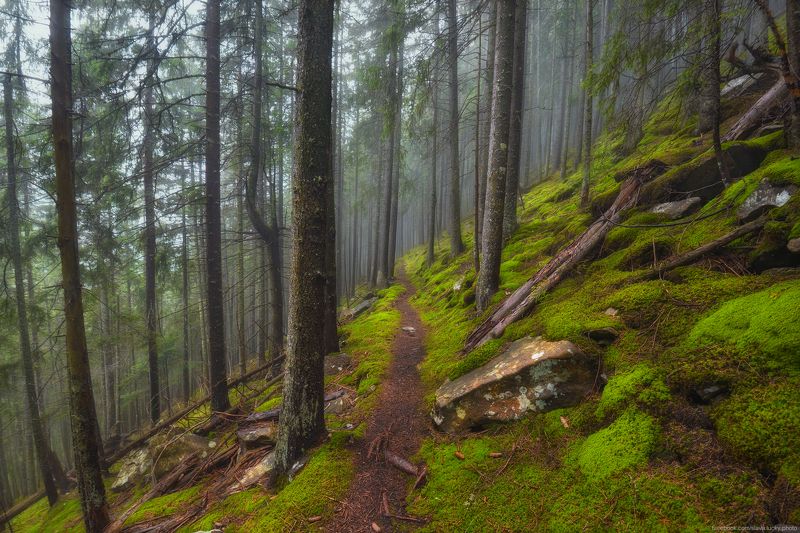 *** фото превью