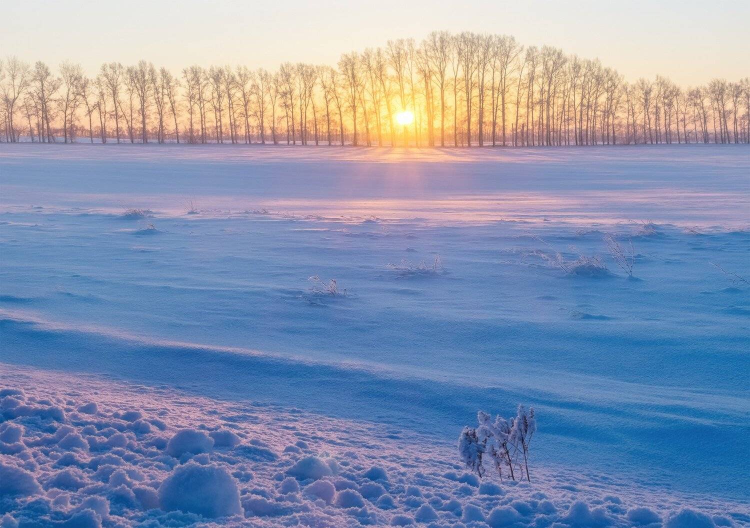 , Лещёнок Александр