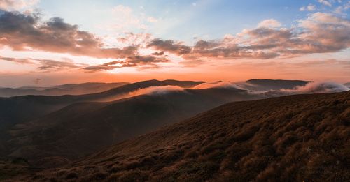 Золотые часы