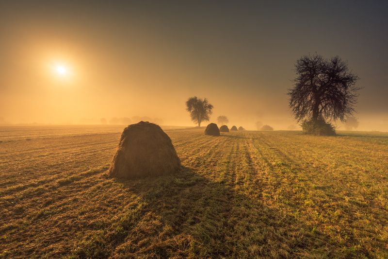 sianokosy... фото превью