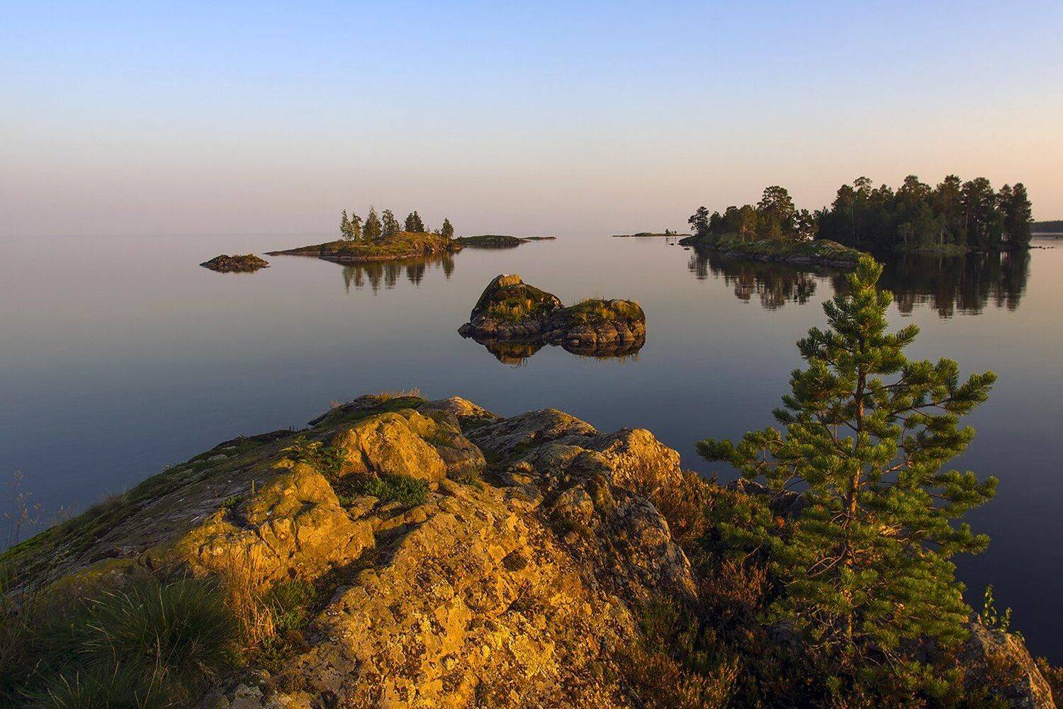 шардоны, Виктор