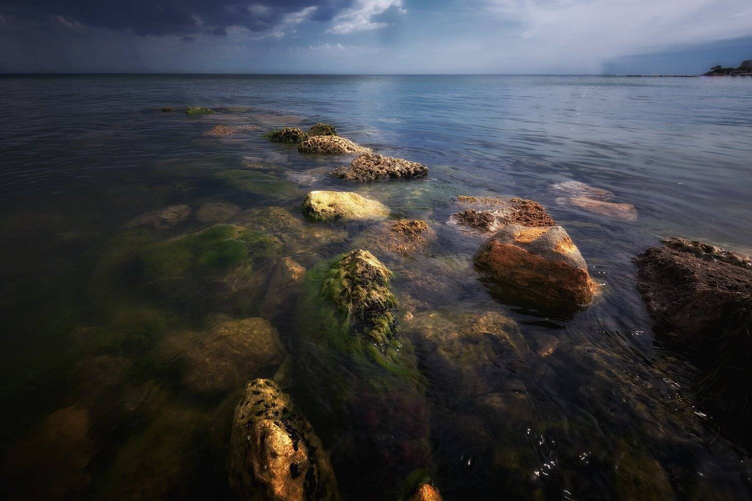 , Алексей Никонов