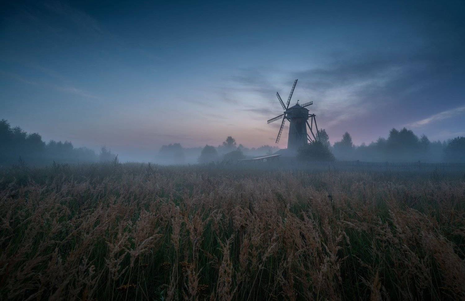 пейзаж, истра, рассвет, туман, утро, россия, природа,, Виталий Левыкин