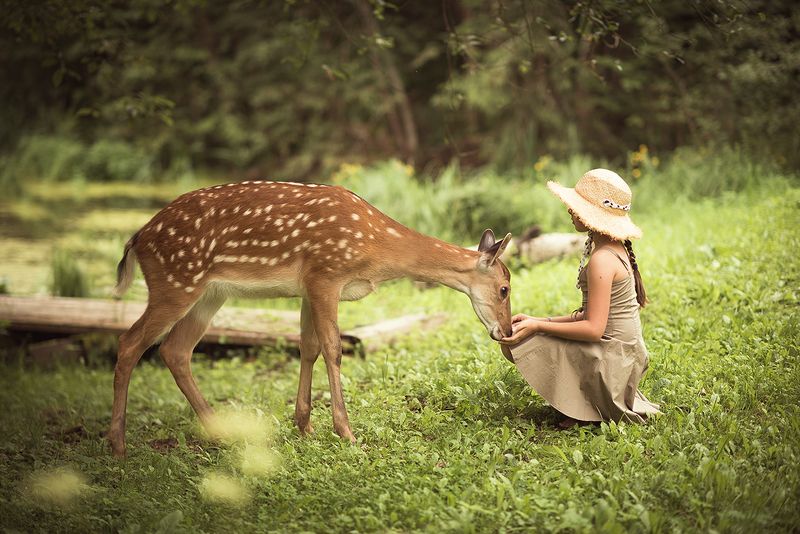 друзья фото превью