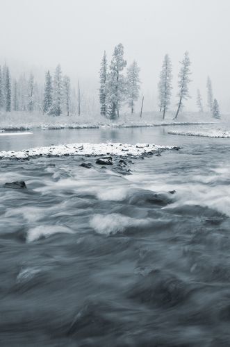 на границе зимы (чб)